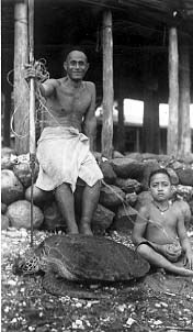  American Samoan man and young boy with captured sea turtle. 1940.