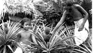  Two young American Samoan girls with pineapple plants. 1940.